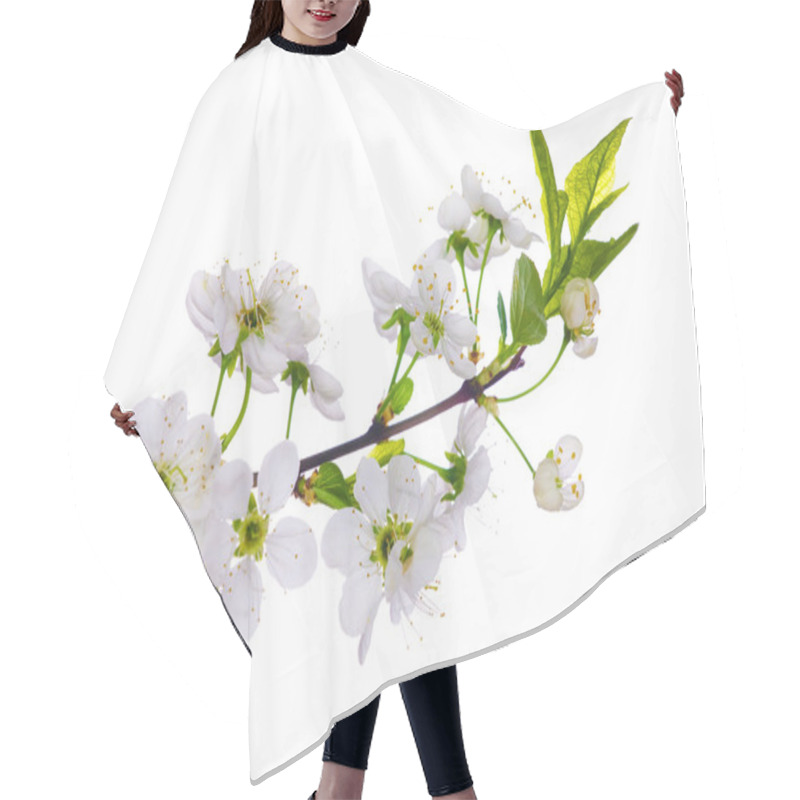 Personality  White Cherry Blooming Close-up Hair Cutting Cape