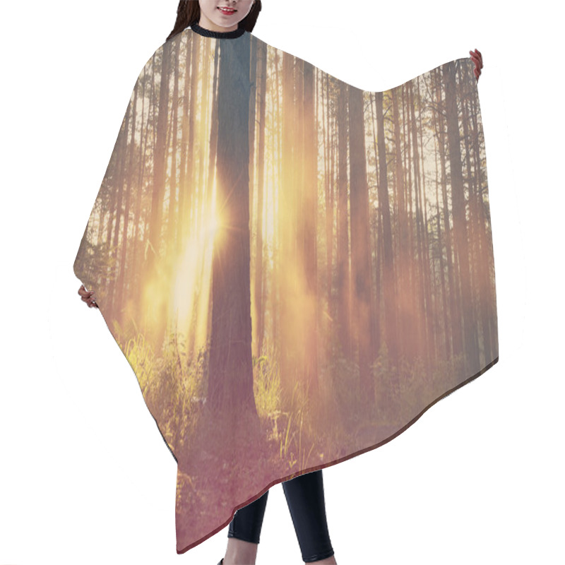 Personality  Beautiful Sunset In Forest Hair Cutting Cape