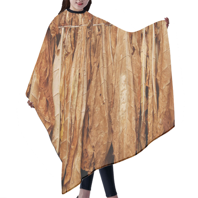 Personality  Tobacco Hair Cutting Cape