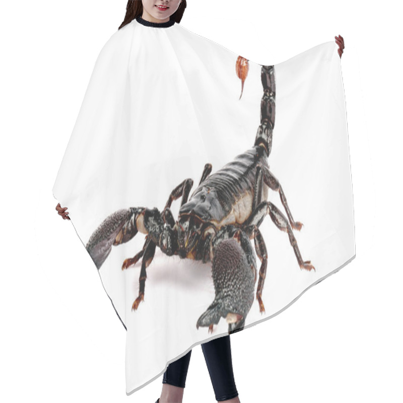 Personality  Emporer Scorpion Hair Cutting Cape