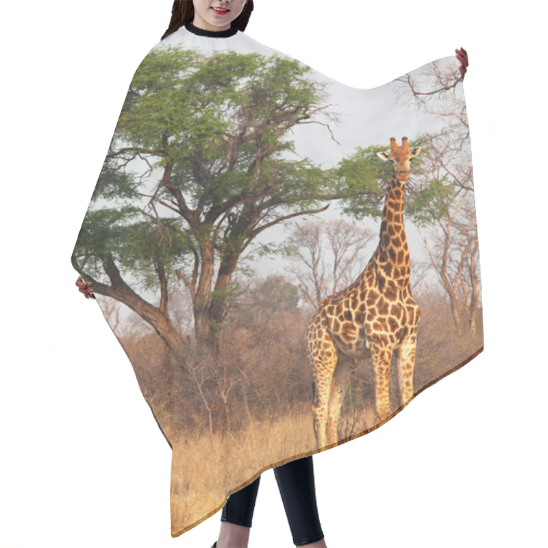 Personality  Giraffe Hair Cutting Cape