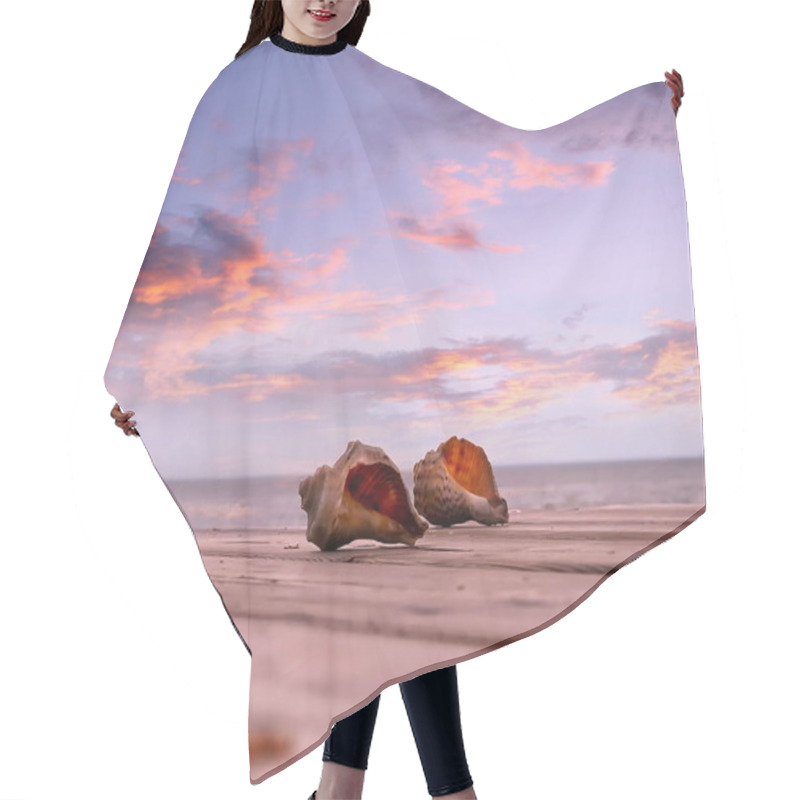 Personality  Beautiful Sunset  Seashell On Sunset At Beach Dramatic Cloudy Sky Nature Landscape Background Hair Cutting Cape