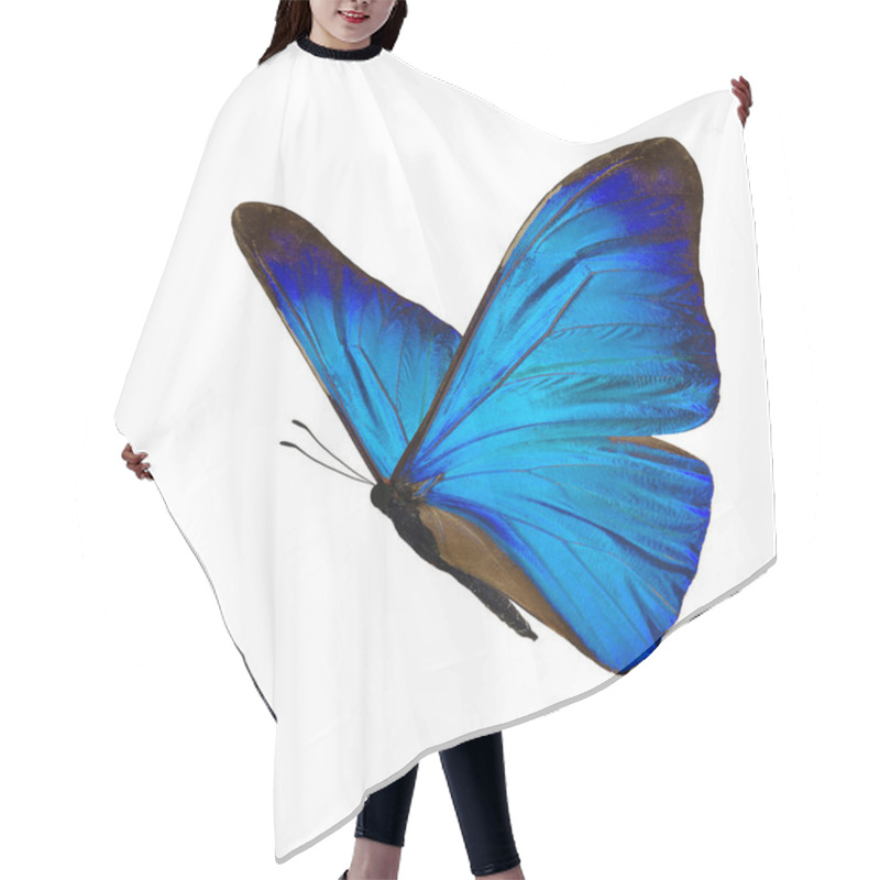 Personality  Beautiful Blue Morpho Butterfly Hair Cutting Cape