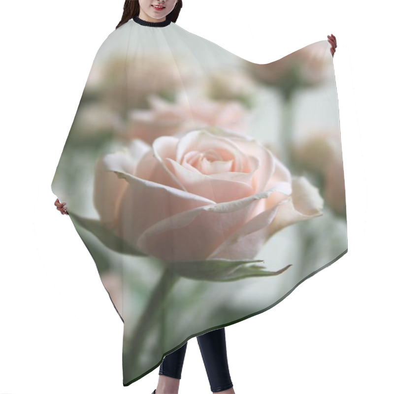 Personality  Close Up Of Rose Flowers Bouquet Indoor  Hair Cutting Cape