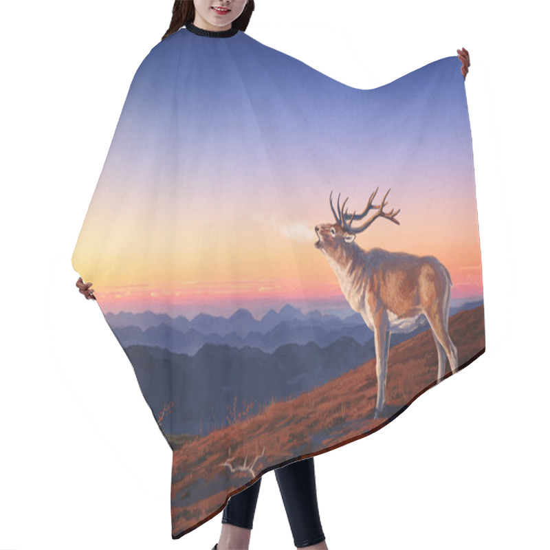 Personality  Red Deer. Hair Cutting Cape