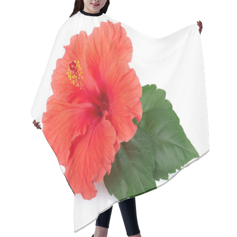 Personality  Red Hibiscus Flower And Leaf, Clipping Path Hair Cutting Cape