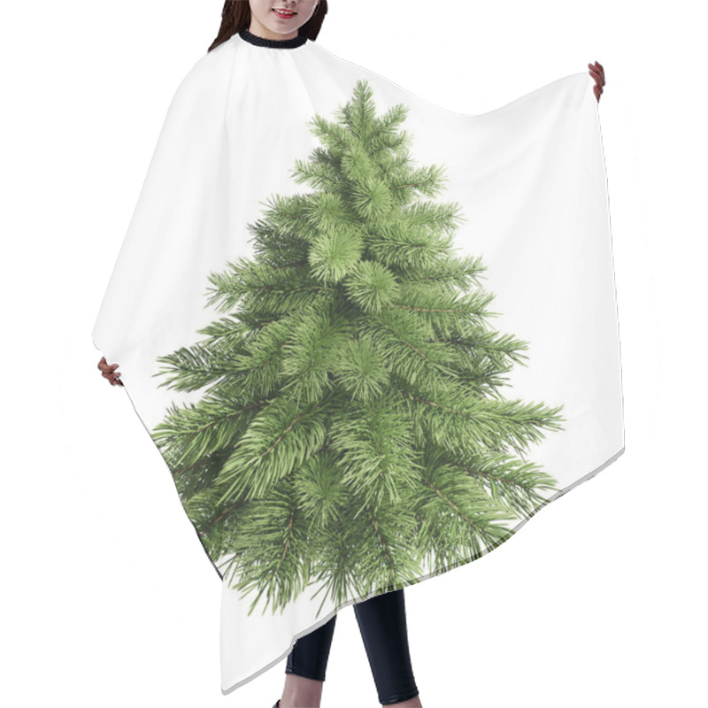 Personality  3D Render Fluffy Green Christmas Tree Isolated White. Photorealistic Fir-tree. Hair Cutting Cape