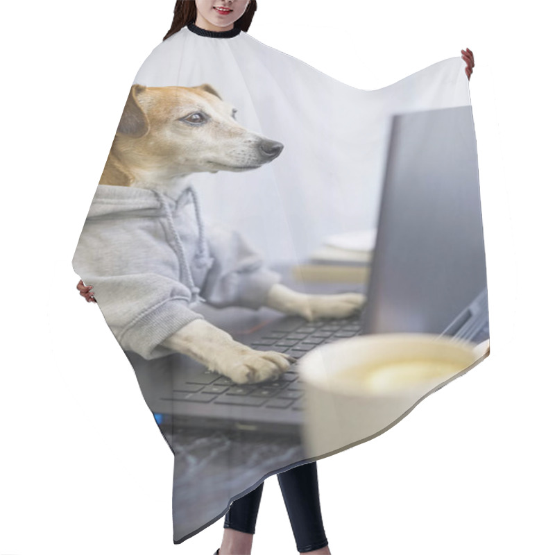 Personality  Programmer Dog Coding With Laptop. Working Process Comfortable At Home. Cup Of Tea. Freelancer Work From Home During Quarantine Social Distancing Lifestyle. Busy Smart Ass. Vertical Photo. Online Chat Hair Cutting Cape