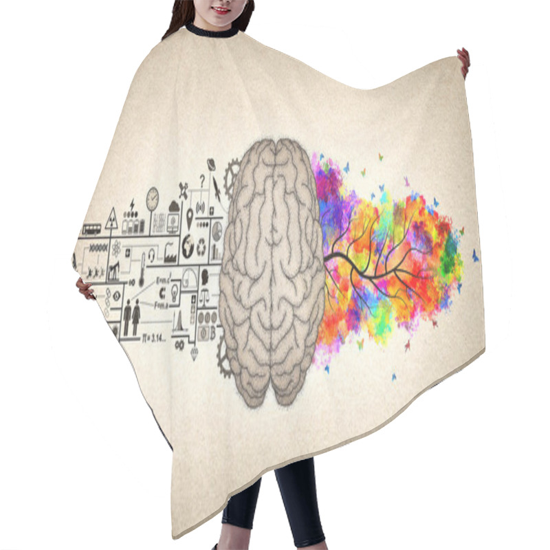 Personality  Brain Functions - Left Brain And Right Brain Conceptual Illustration - Analytic And Creative Brain  Hair Cutting Cape