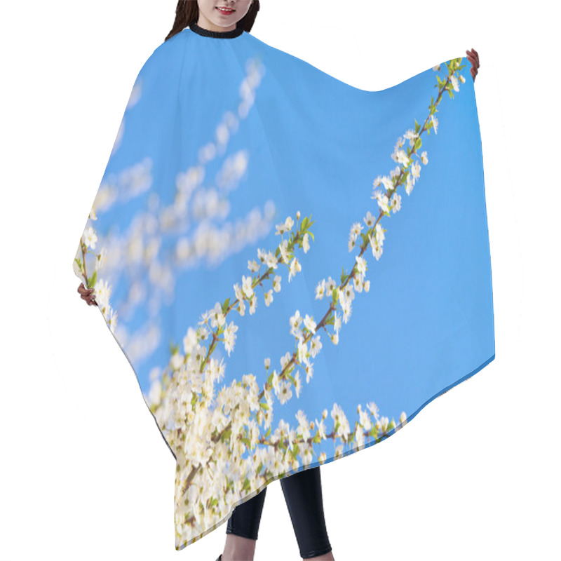 Personality  Blossoming Twig Of Cherry-tree (on Blossom Tree And Sky Background) Hair Cutting Cape