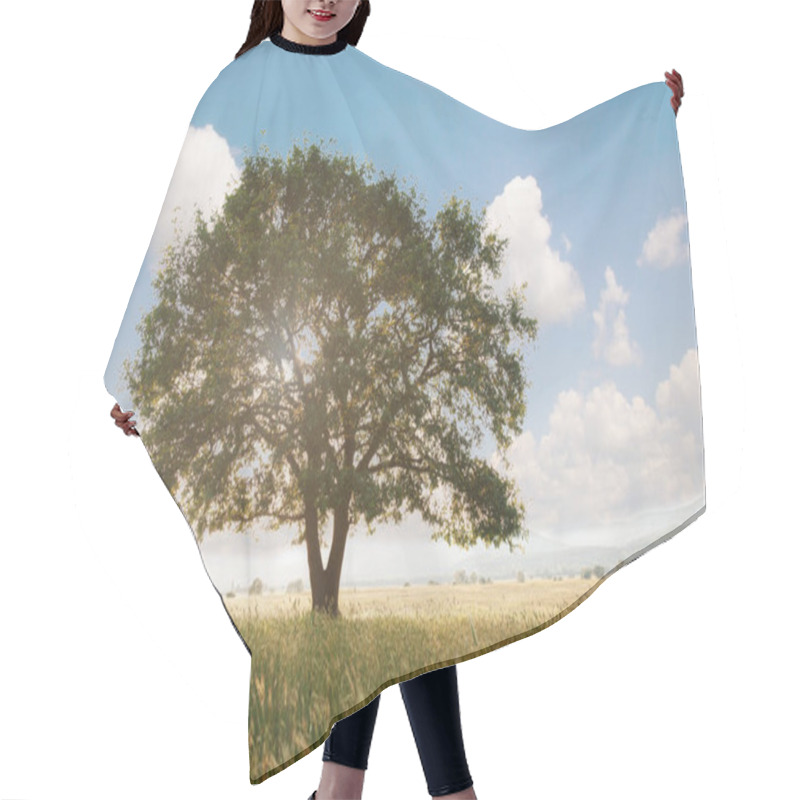 Personality  Lonely Tree Against A Blue Sky At Sunset. Summer Landscape With A Lone Tree At Sunset Barley Field In The Village Hair Cutting Cape