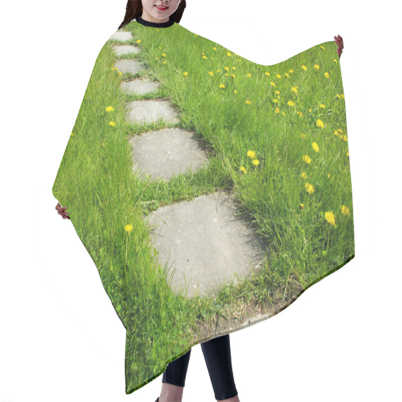 Personality  Path On Dandelion Field Hair Cutting Cape