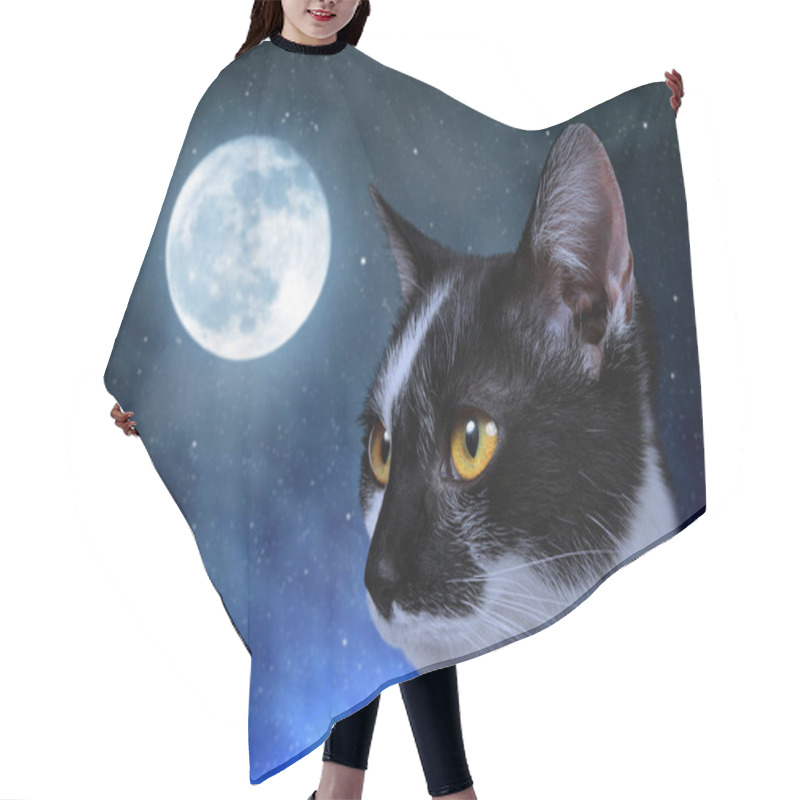 Personality  Cat In The Dark Night. Hair Cutting Cape