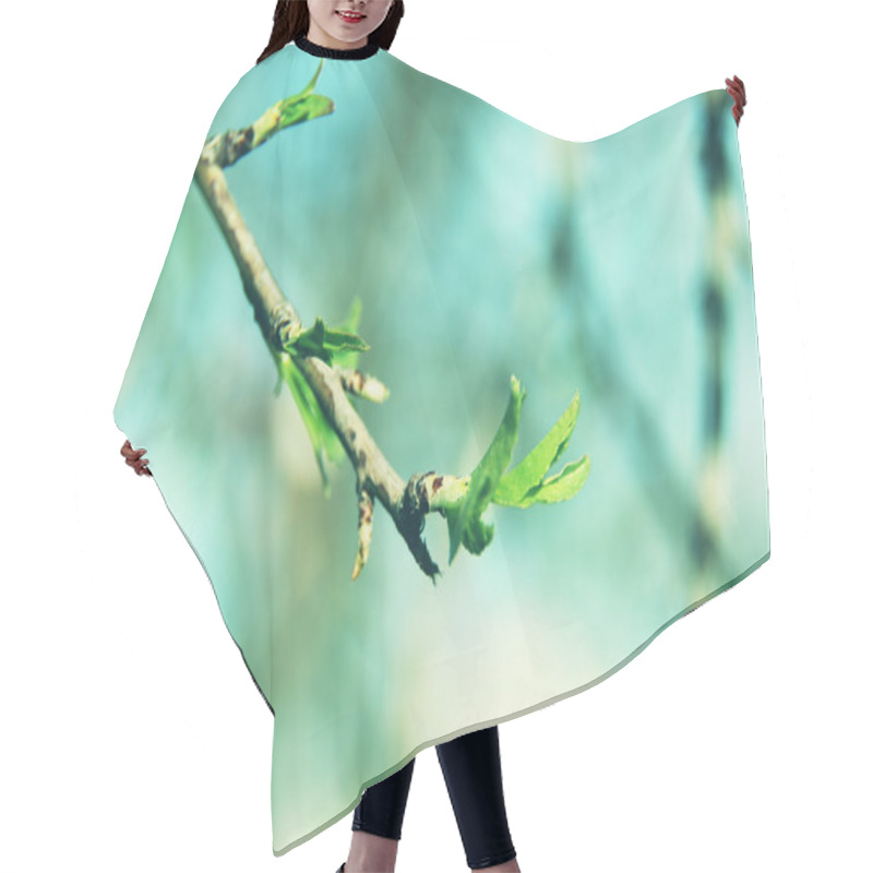 Personality  First Spring Gentle Leaves, Buds And Branches Macro Background Hair Cutting Cape