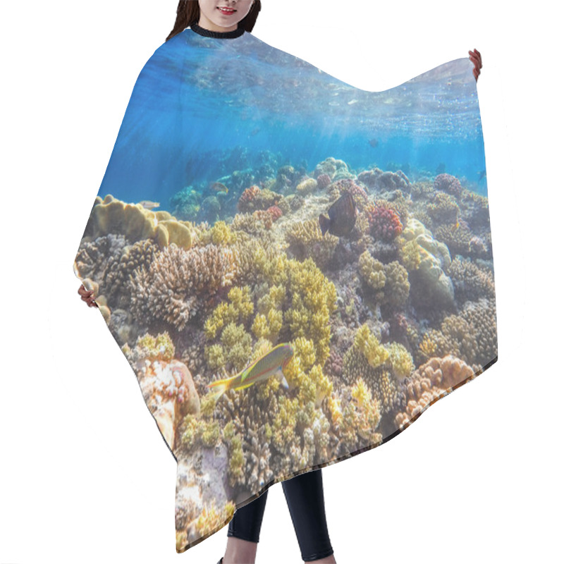 Personality  Coral And Fish In The Red Sea. Egypt Hair Cutting Cape