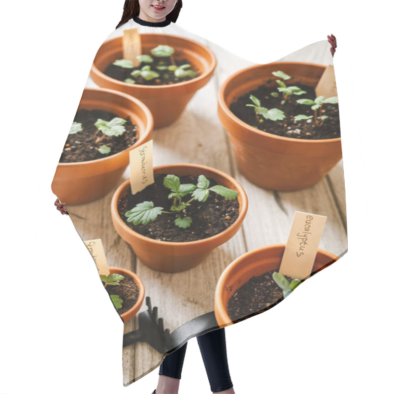 Personality  Seeding And Potted Plant Hair Cutting Cape