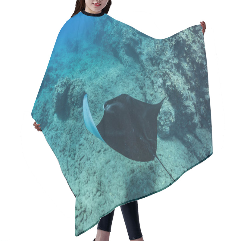 Personality  Black Mantaray Underwater Hair Cutting Cape