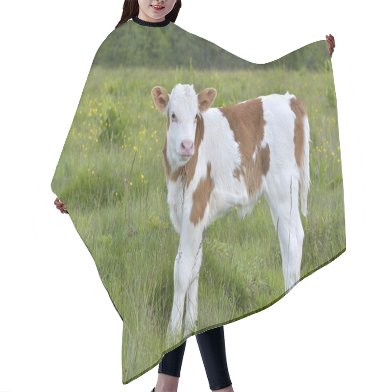 Personality  Beautiful Little Calf In Green Grass Hair Cutting Cape