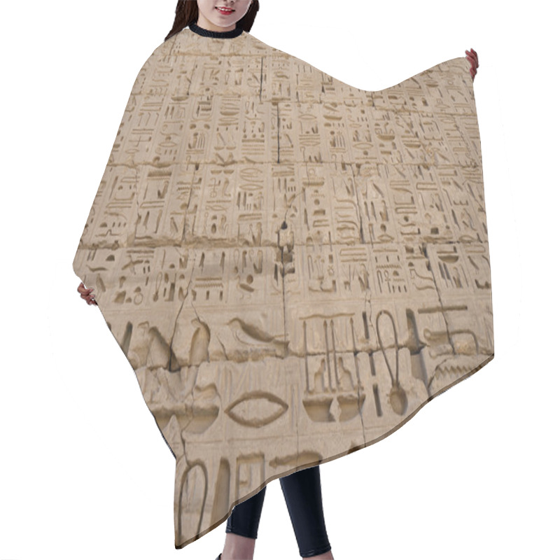 Personality  Egypt Hieroglyphics In Valley Of Kings Hair Cutting Cape