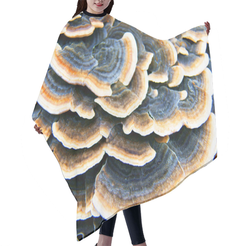 Personality  Wild Mushroom Hair Cutting Cape