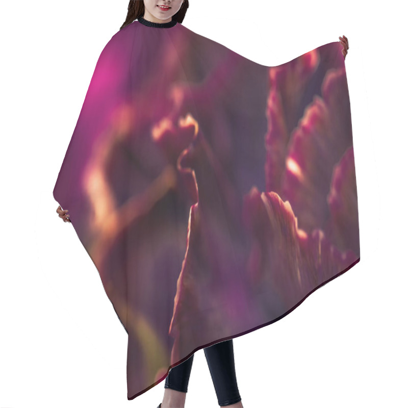 Personality  Burgundy Carnation Flower In Bloom, Abstract Floral Blossom Art  Hair Cutting Cape