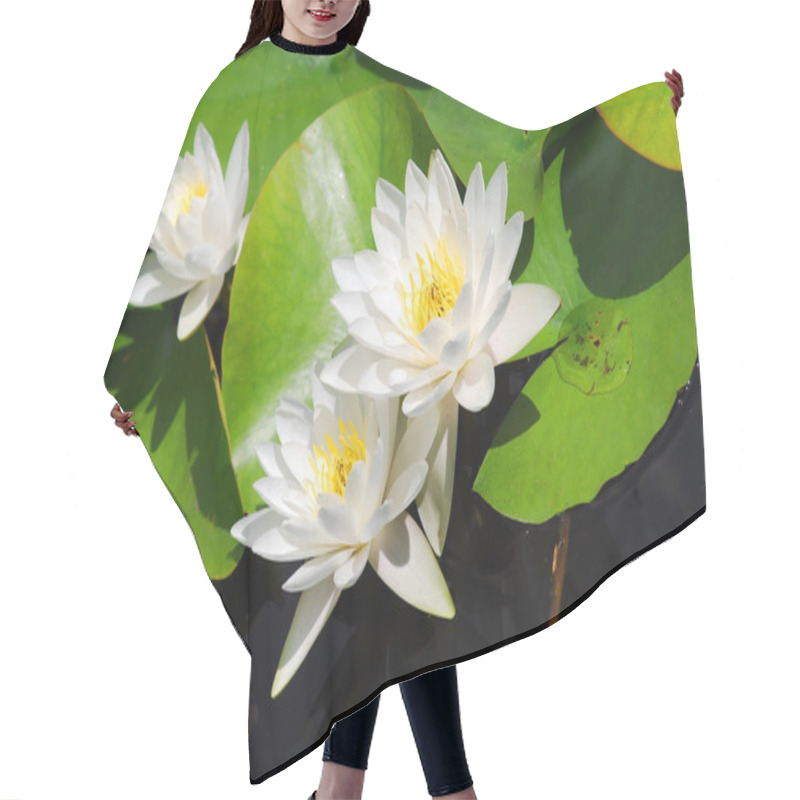 Personality  Water Lily (lotus) Hair Cutting Cape