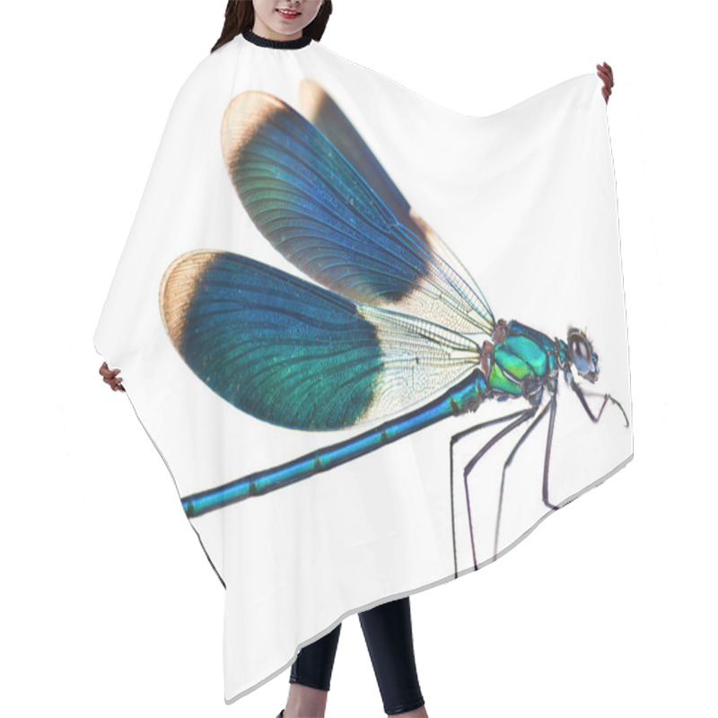 Personality  Dragonfly Isolated On White Hair Cutting Cape