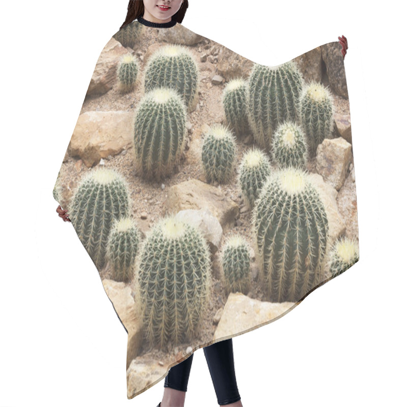 Personality  Cactus Plant Group Hair Cutting Cape