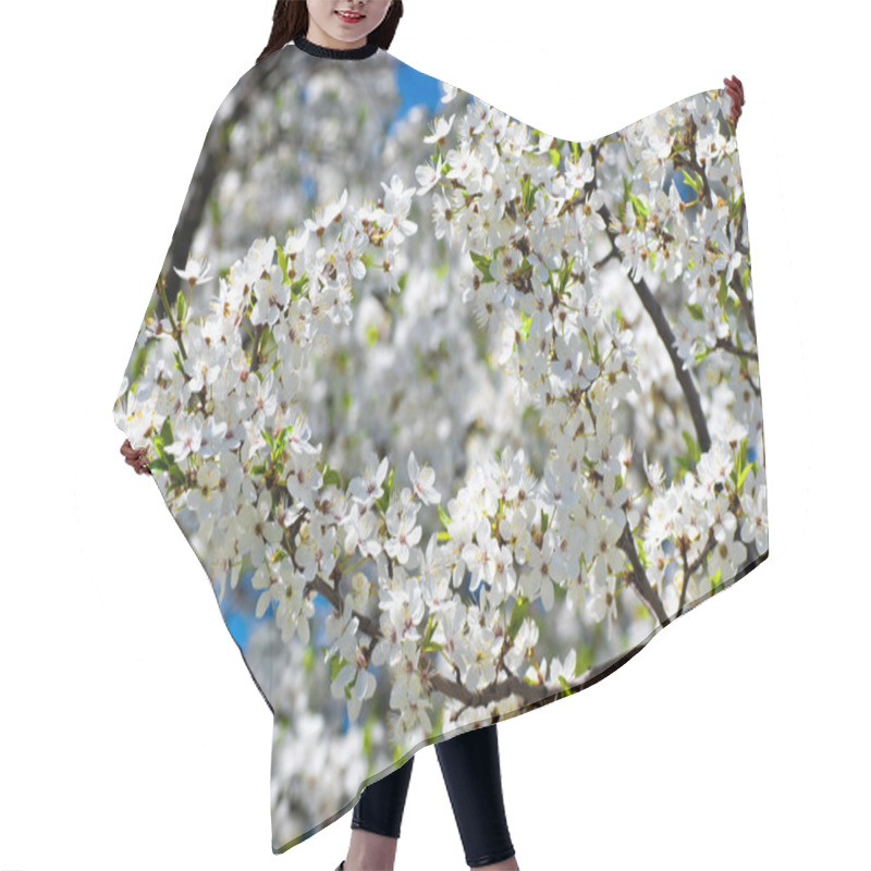 Personality  Spring Blossom: Branch Of A Blossoming Apple Tree On Garden Background Hair Cutting Cape