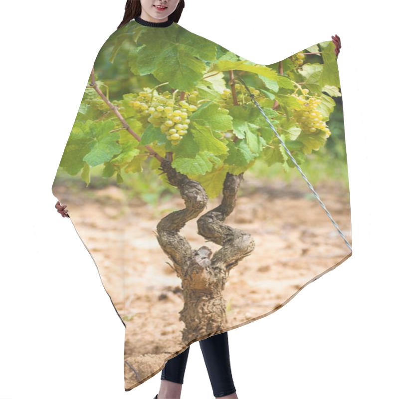 Personality  Grapevine Hair Cutting Cape