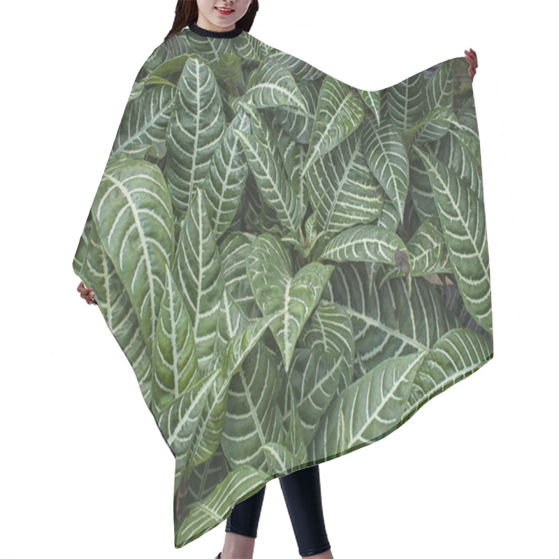 Personality  Leafy Green Aphelandra Plant Hair Cutting Cape