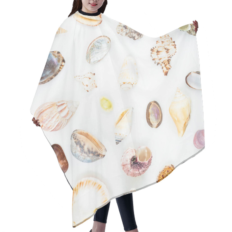 Personality  Various Sea Shells On White Hair Cutting Cape