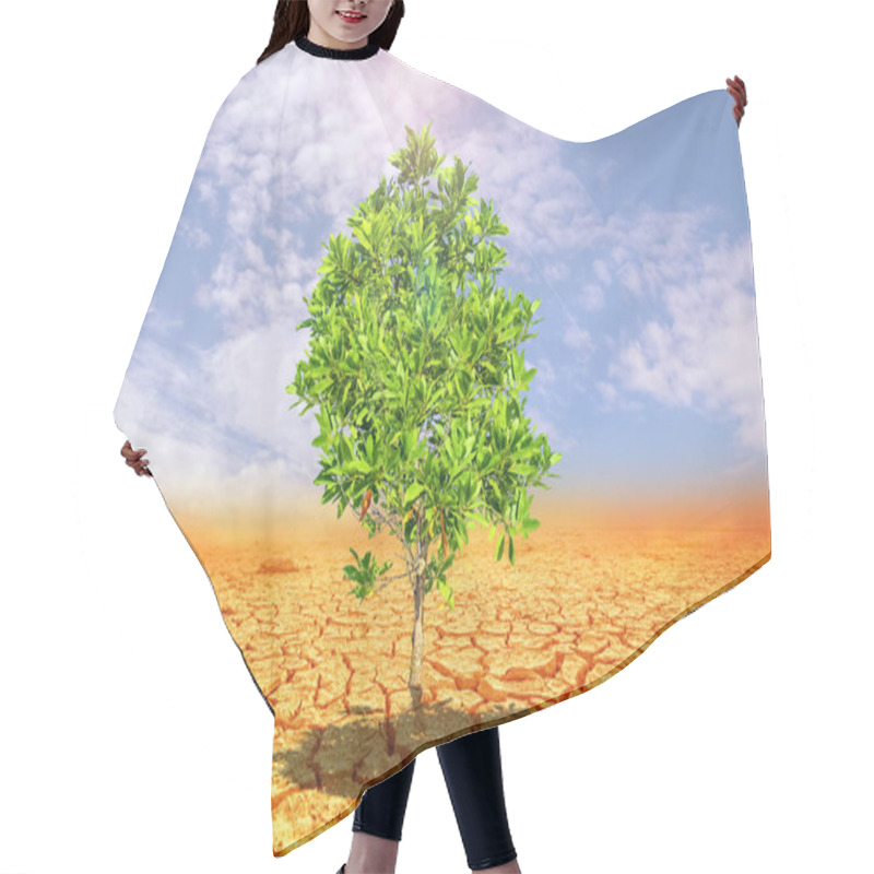 Personality  A Solitary Green Tree Stands Resilient In A Dry, Cracked Desert Landscape Under A Bright Sun And Blue Sky. Hair Cutting Cape