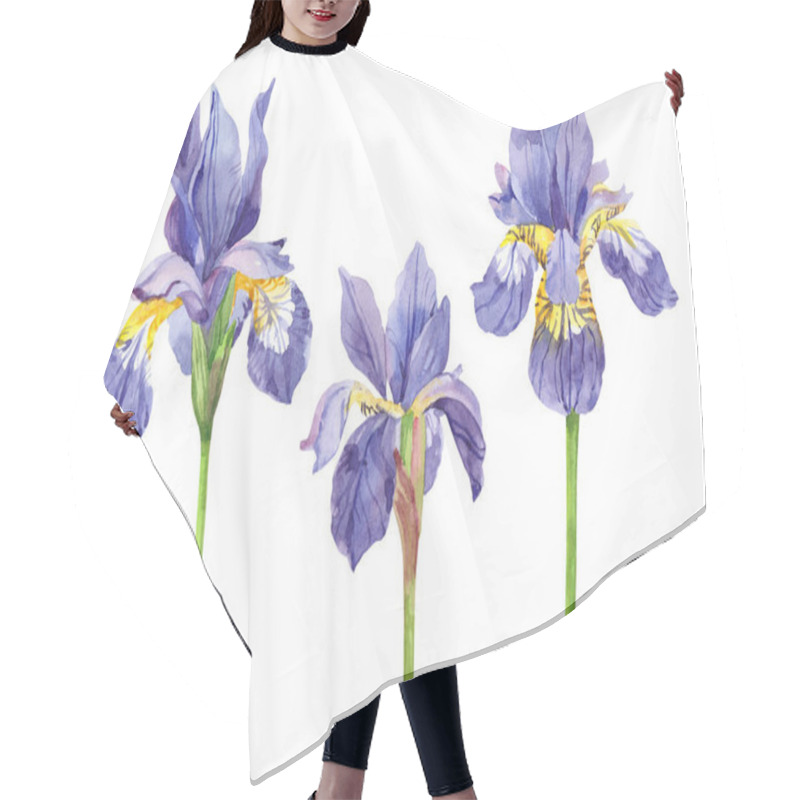 Personality  Watercolor Set Of Irises, Hand Drawn Floral Illustration, Blue Flowers Isolated On White Background. Hair Cutting Cape