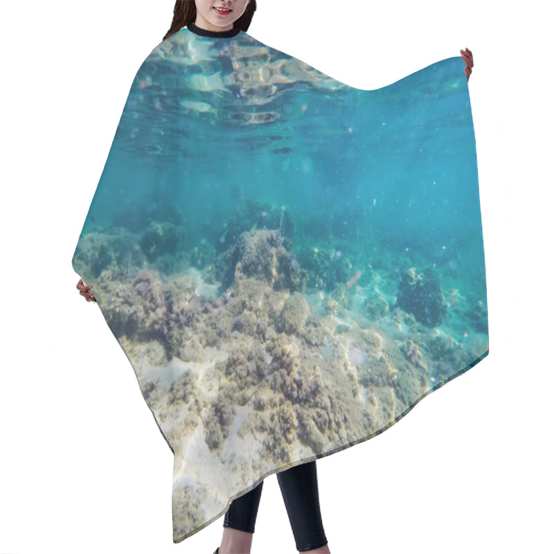 Personality  Seaweeds And Rocks In Sardinia Hair Cutting Cape