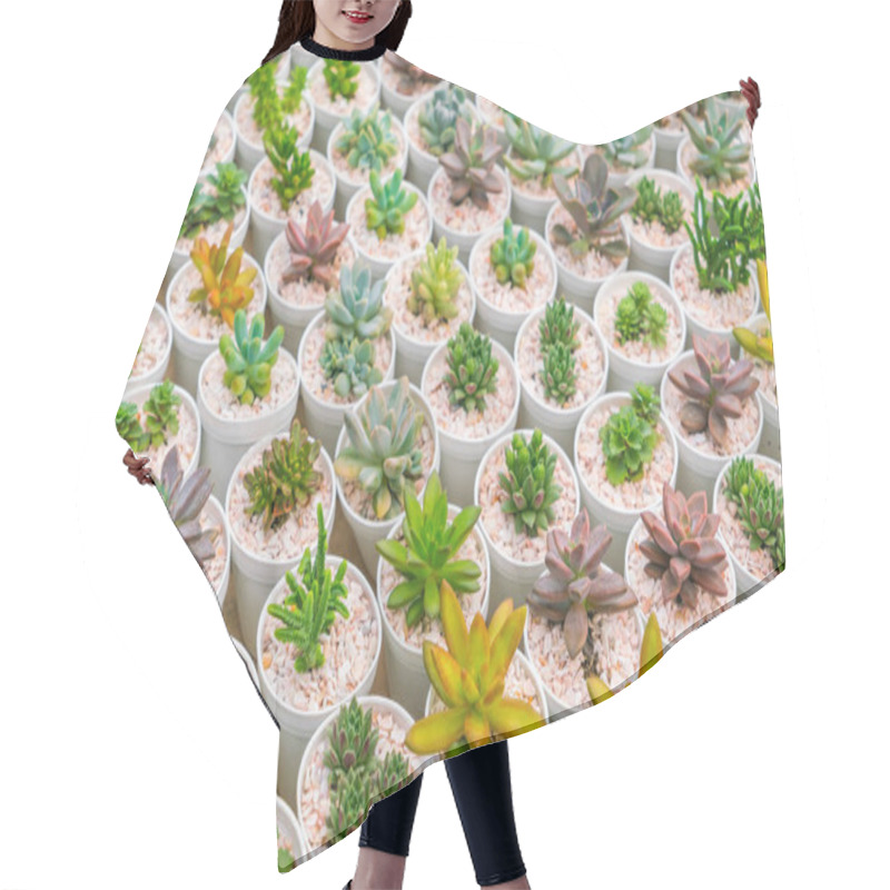 Personality  Beautiful Small Cactus Field . Hair Cutting Cape