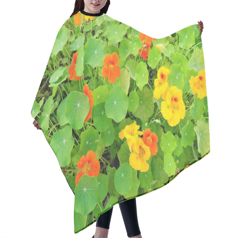 Personality  Nasturtium Flowers Hair Cutting Cape