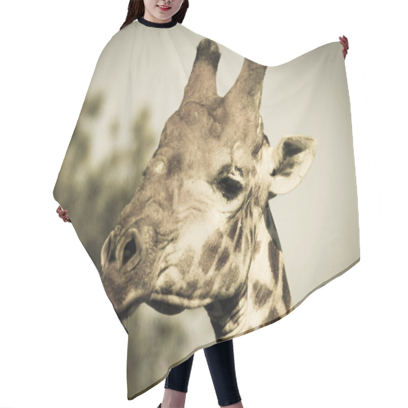 Personality  Giraffe In The Jungle Habitat, Africa Hair Cutting Cape