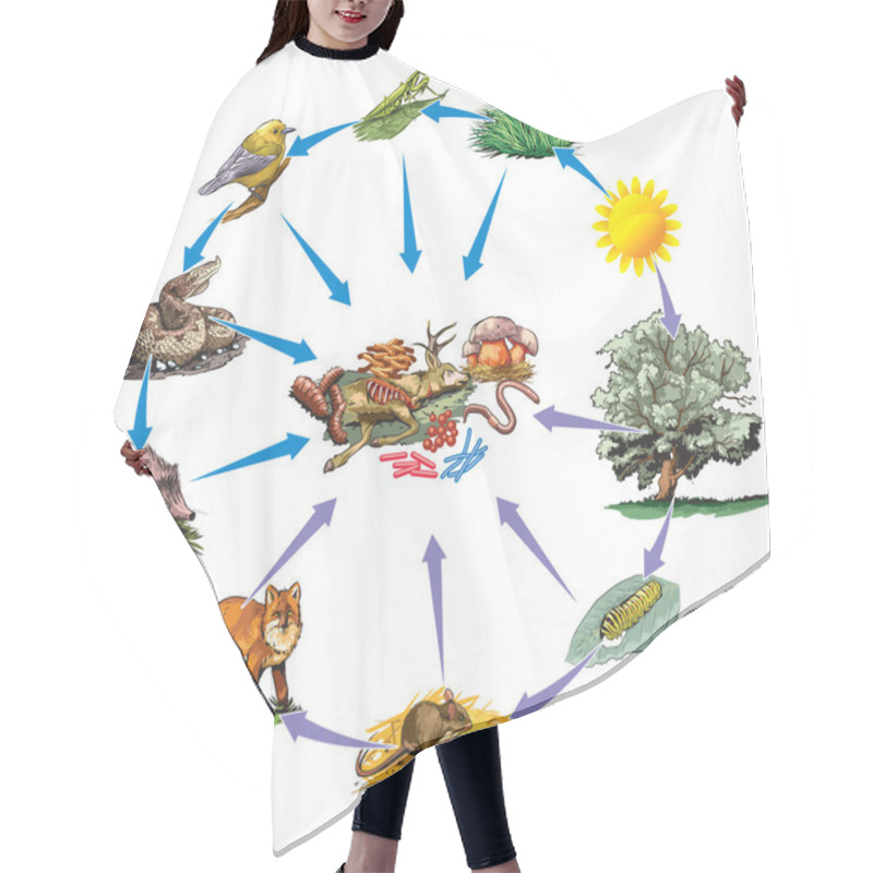 Personality  Food Chain Hair Cutting Cape