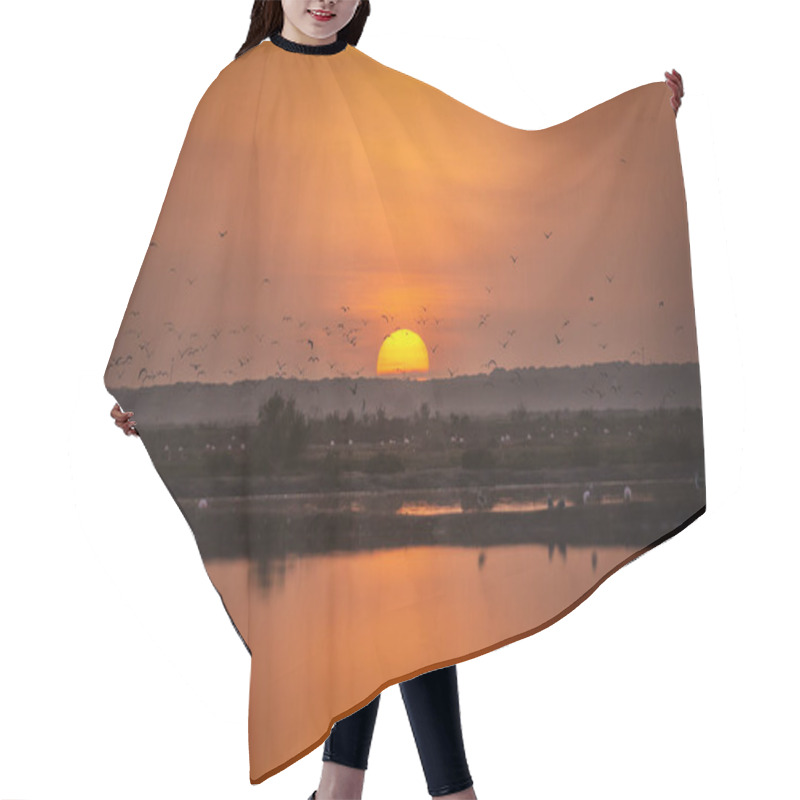 Personality  Sunset In A Marsh With Birds Flying Hair Cutting Cape