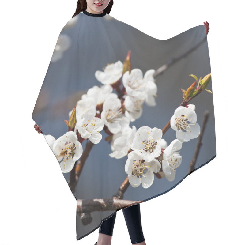 Personality  Spring - Blossoming Tree Against Lovely Blue Sky Hair Cutting Cape