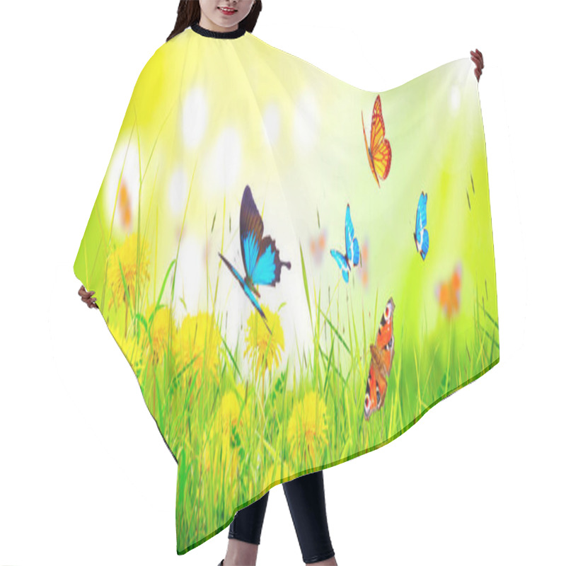 Personality  Flying Butterfly In Spring Morning. Panoramic View. Hair Cutting Cape