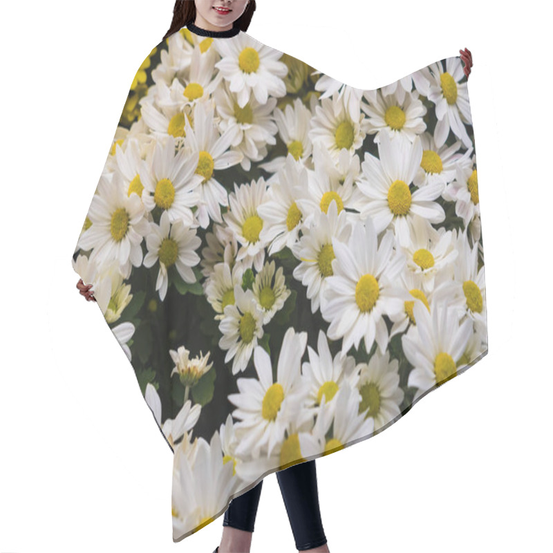 Personality  An Enchanting Array Of Daisies, Inviting Viewers Into A Whimsical Floral Wonderland Filled With Joy And Charm. Hair Cutting Cape