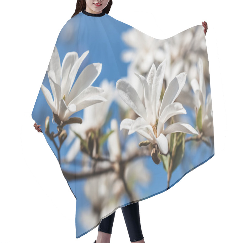 Personality  Blooming Magnolia Tree Hair Cutting Cape