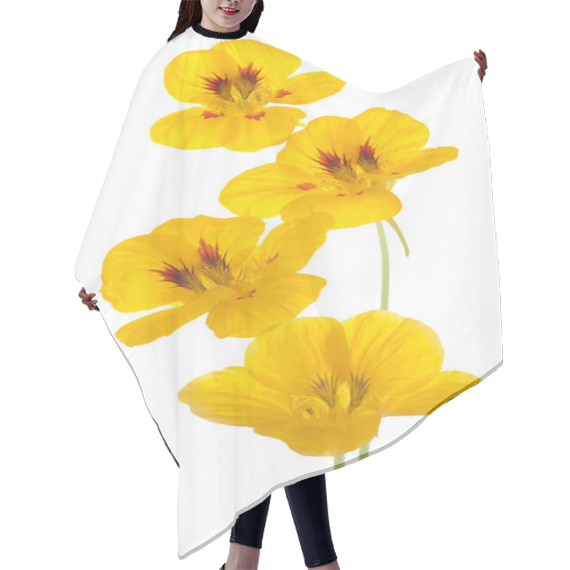 Personality  Nasturtium Hair Cutting Cape