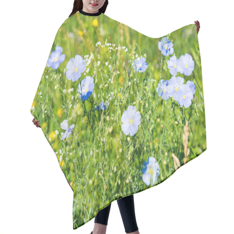 Personality  Blue Flax In A Farm Field Hair Cutting Cape