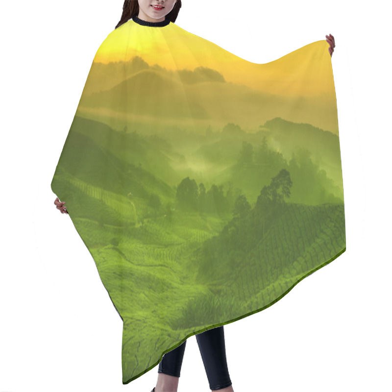 Personality  Tea Plantation Hair Cutting Cape