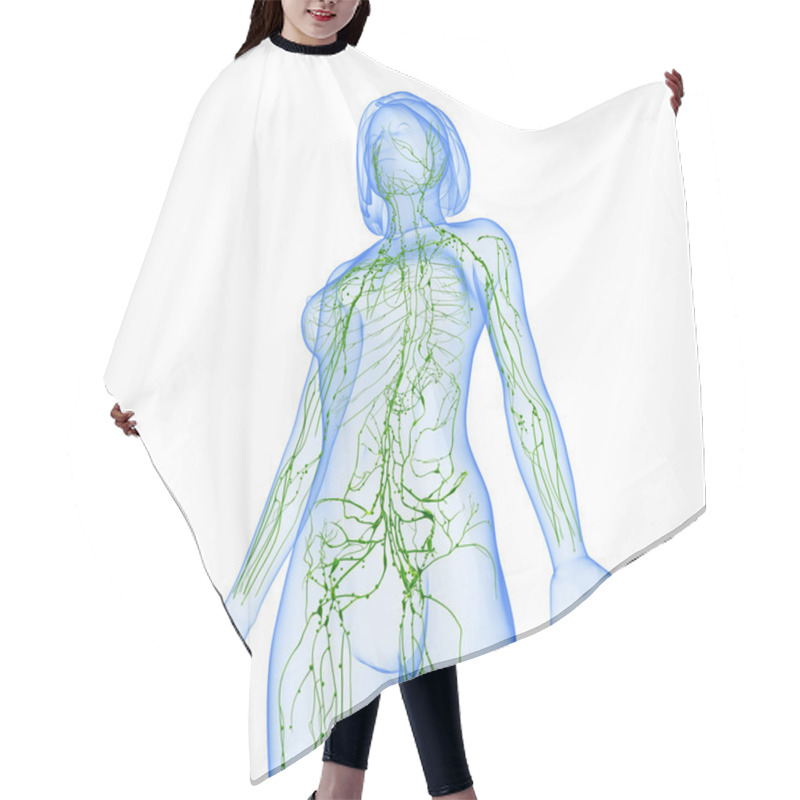 Personality  Lymphatic System Of Female With Half Body Hair Cutting Cape