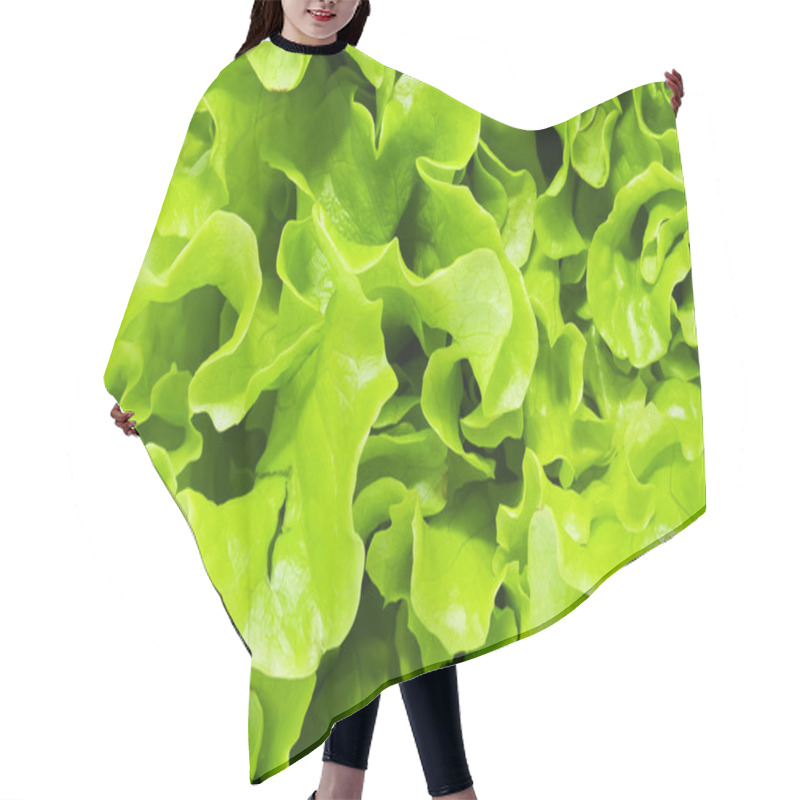 Personality  Lettuce Hair Cutting Cape