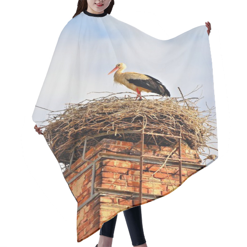 Personality  A Stork Standing In Its Nest Hair Cutting Cape